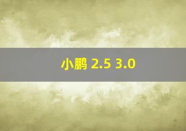 小鹏 2.5 3.0